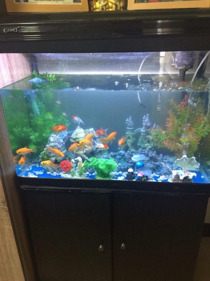 קואזון סיטי Cubao Manhattan Heights Unit 5A Tower C מראה חיצוני תמונה